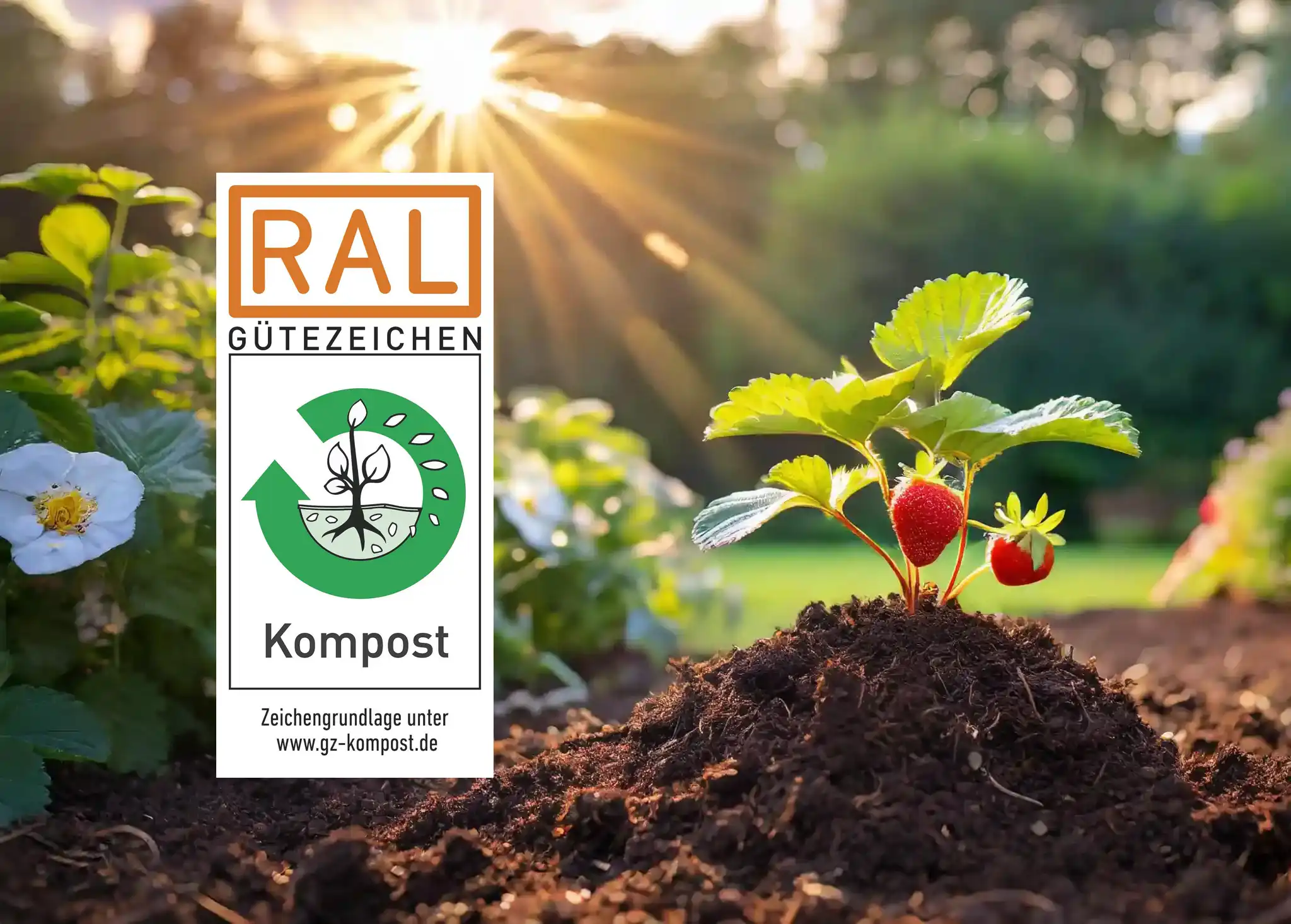 erdbeere_ral_2026 Eichhorn Kompost · Geprüfte Kompostqualität aus Bamberg und Haßfurt